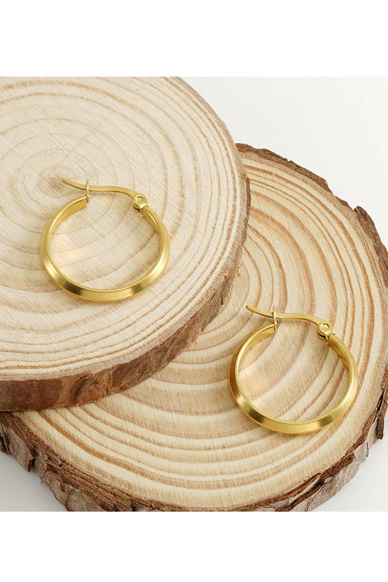 18K Gold Plated Stainless Steel Earrings_Cwaje0388