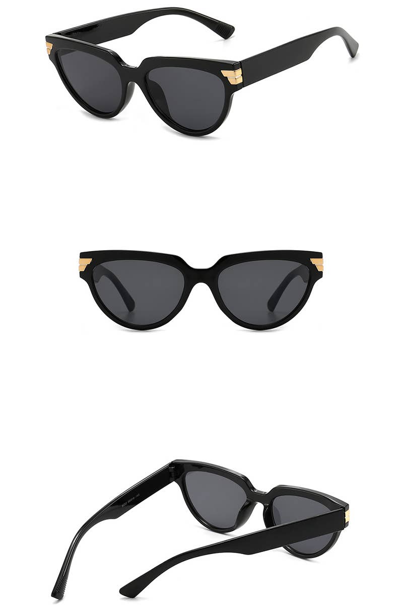 Travel Retro Sunglasses_Cwasg0126