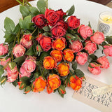 Vintage 5-Head Angora Rose With Burnt Edges_Cwmm6512